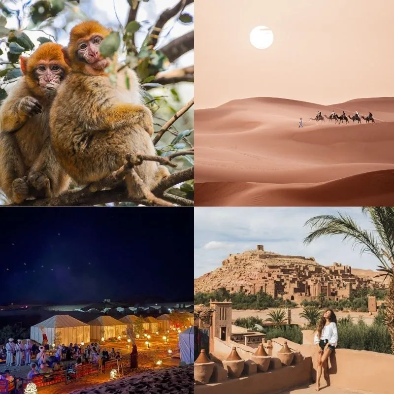 4 Días Tour Fez a Marrakech